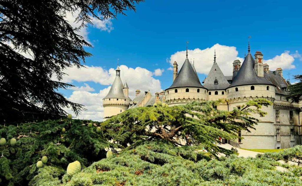 Bilan de compétences Indre-et-Loire